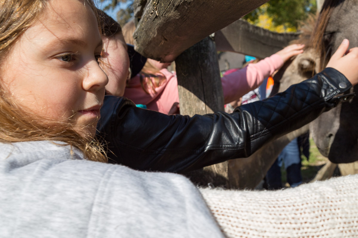 SW Tierpark Haag 044
