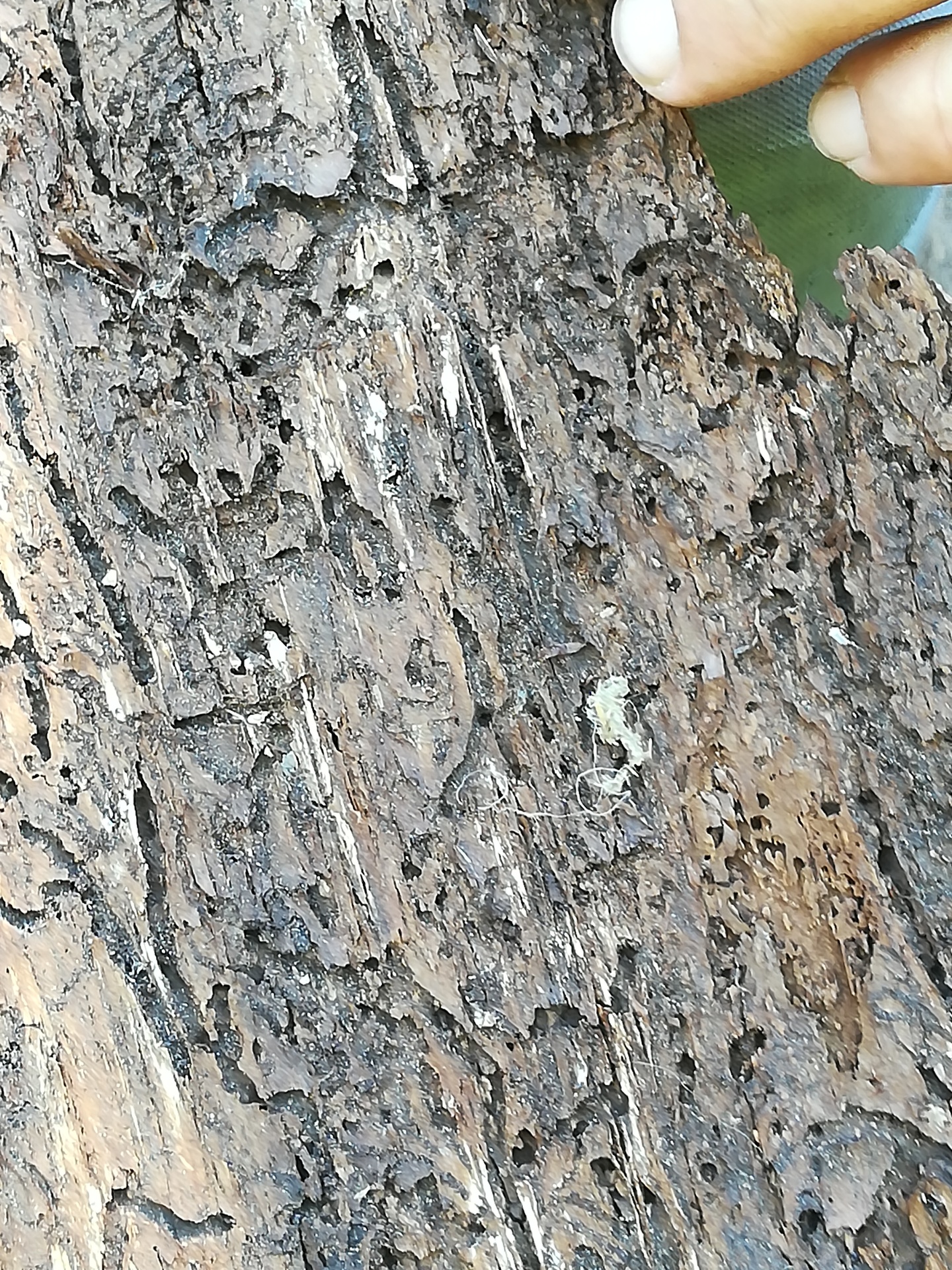 IMG 20180621 124652