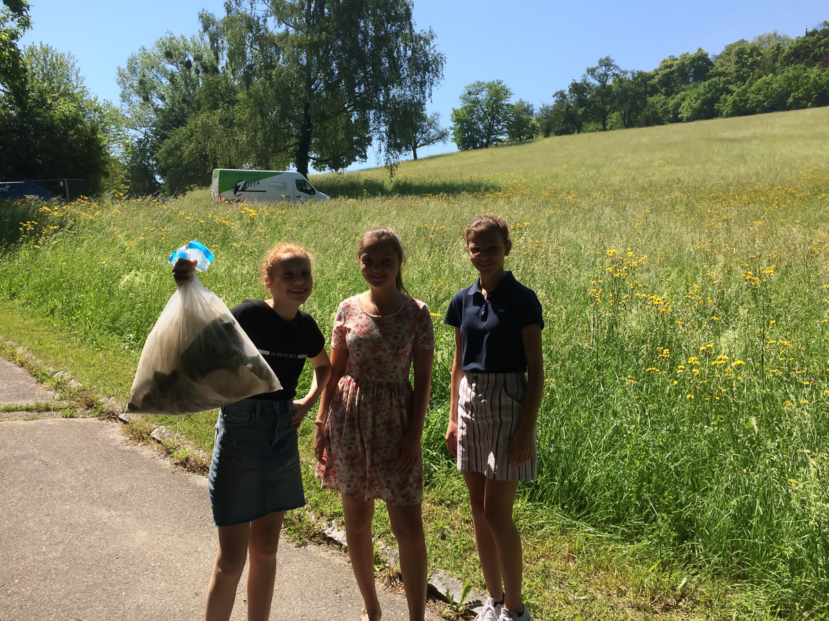 IMG 1354