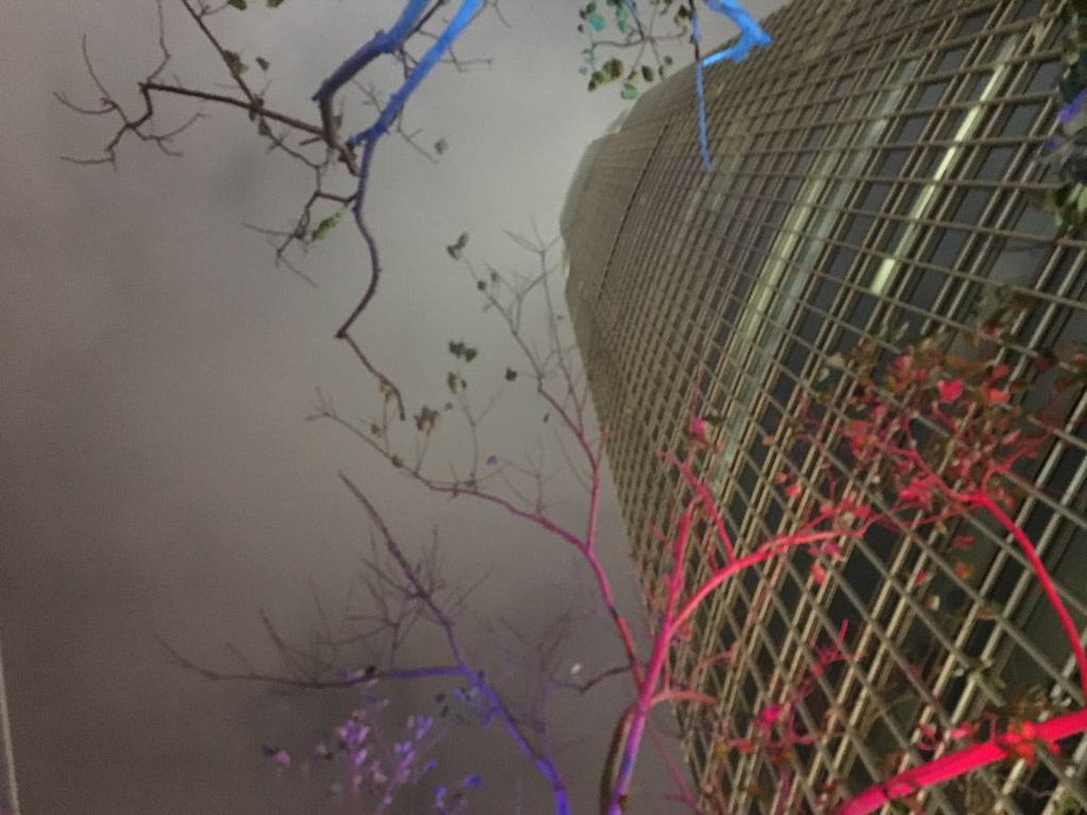 Maya Weimer Hongkong 011