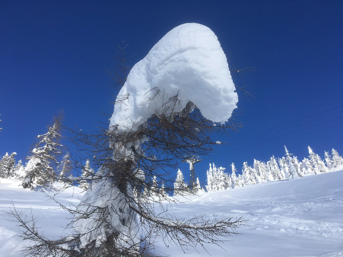 SW Wintersportwoche19 055
