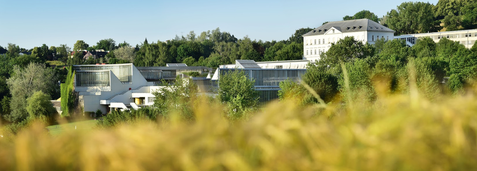 Adalbert Stifter Praxismittelschule